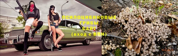 мяу мяу мука Богданович
