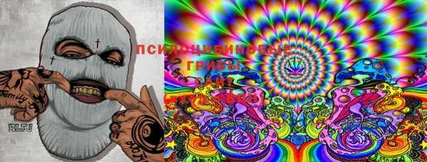 мяу мяу мука Богданович
