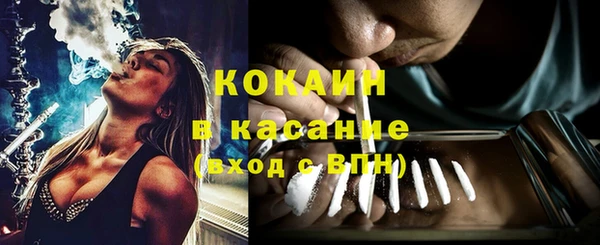 мяу мяу мука Богданович